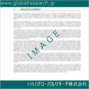 グローバルリサーチ調査資料のイメージ